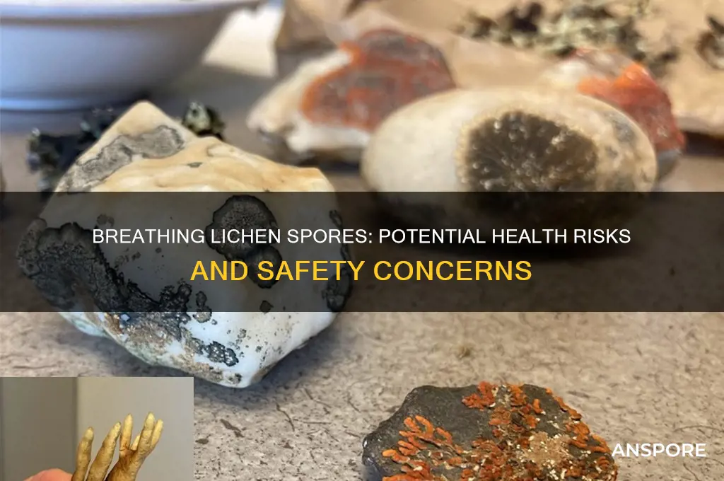 can breathing lichen spores make you sick