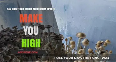 Breathing Magic Mushroom Spores: Can It Induce a Psychedelic High?