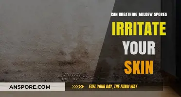 Mildew Spores and Skin Irritation: Uncovering the Hidden Connection