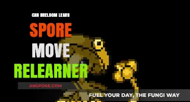 Can Breloom Learn Spore? Move Relearner Guide for Pokémon Trainers