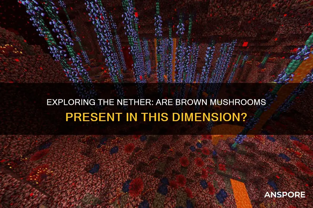 can brown mushrooms be found in the nether