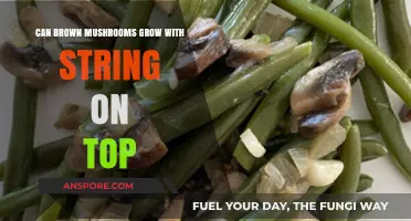 Can Brown Mushrooms Grow with String on Top? Exploring Fungal Growth