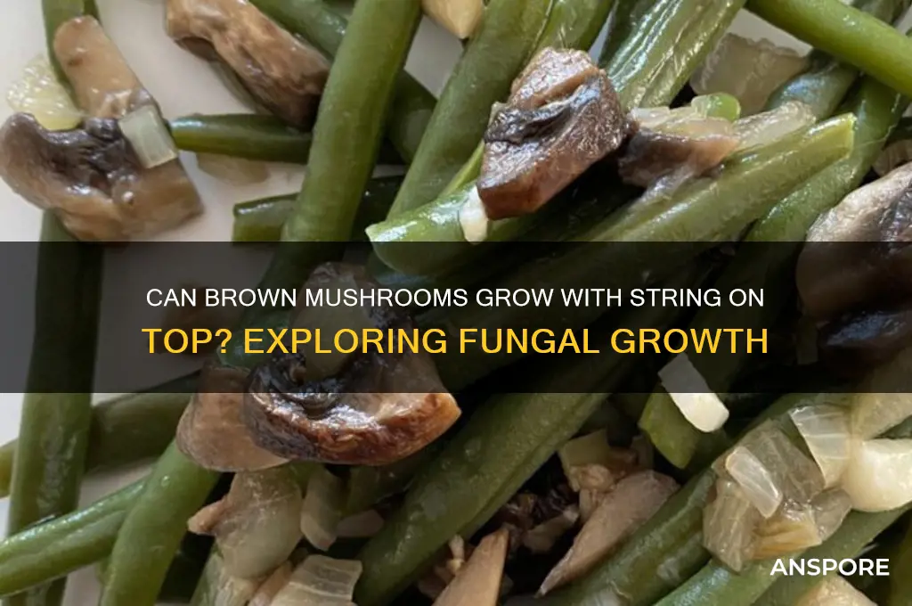 can brown mushrooms grow with string on top