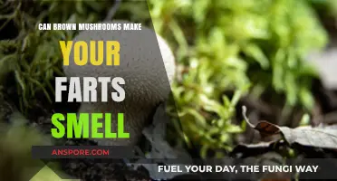 Do Brown Mushrooms Cause Smelly Farts? Uncovering the Truth