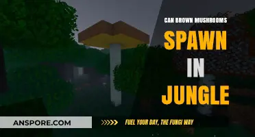 Do Brown Mushrooms Spawn in Jungle Biomes? Exploring Minecraft's Fungal Growth