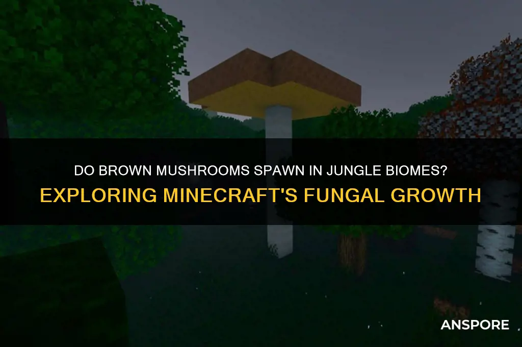 can brown mushrooms spawn in jungle