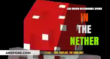 Do Brown Mushrooms Naturally Spawn in the Nether? Facts Revealed