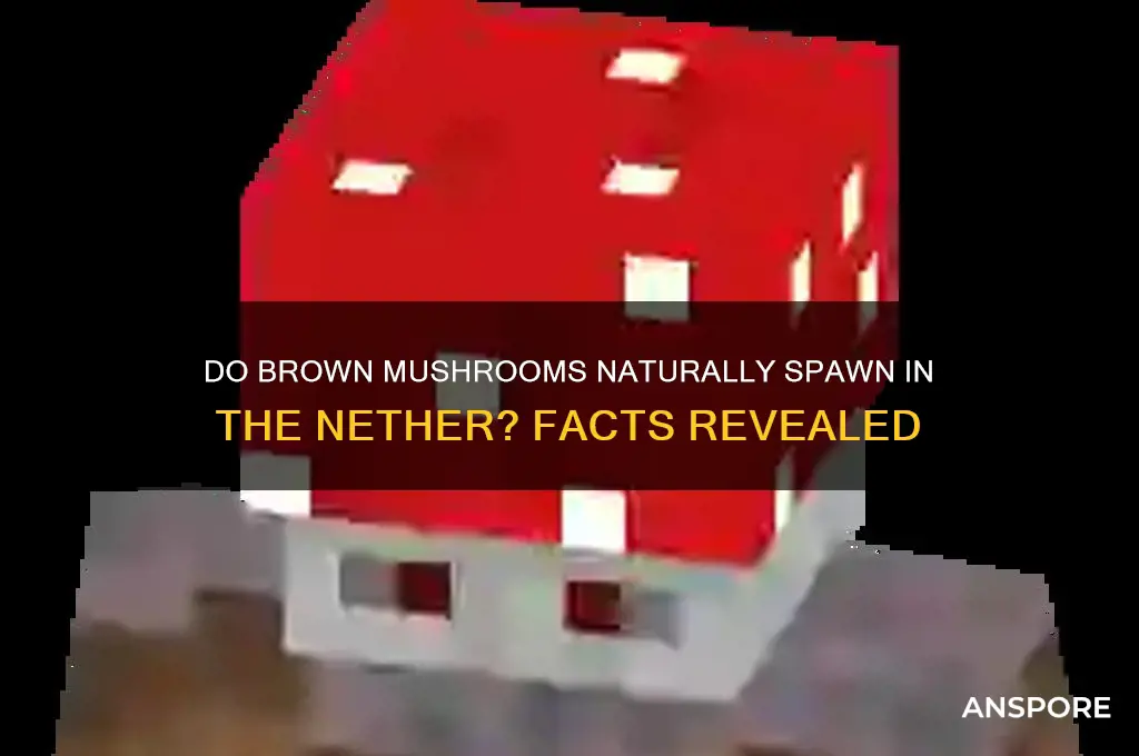 can brown mushrooms spawn in the nether