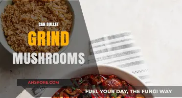 Can Bullet Blenders Grind Mushrooms? A Kitchen Gadget Test