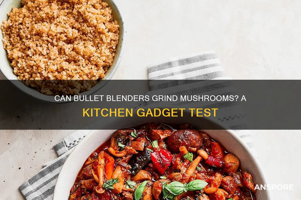 can bullet grind mushrooms