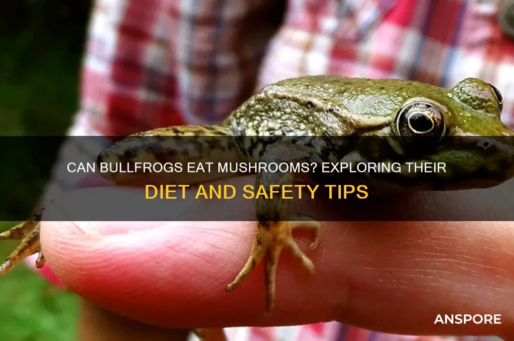 can bullfogs have mushrooms