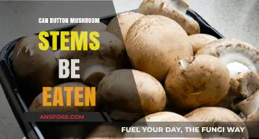 Can You Eat Button Mushroom Stems? A Tasty Truth Revealed