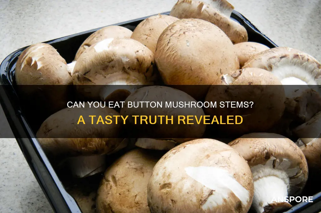 can button mushroom stems be eaten