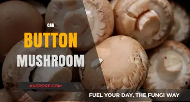 Can Button Mushrooms Boost Your Health? Surprising Benefits Revealed