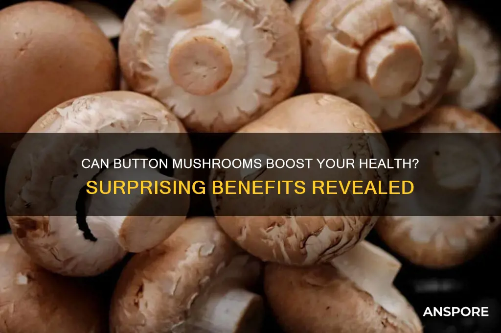 can button mushroom