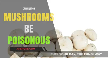 Are Button Mushrooms Safe? Debunking Poisonous Myths and Facts
