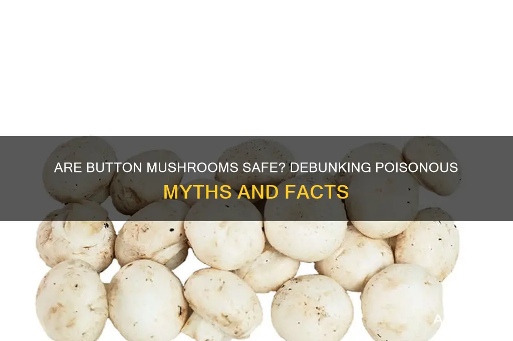 can button mushrooms be poisonous