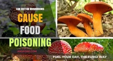Can Button Mushrooms Cause Food Poisoning? Facts and Risks Explained