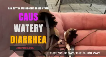 Can Yard-Grown Button Mushrooms Cause Watery Diarrhea? Find Out