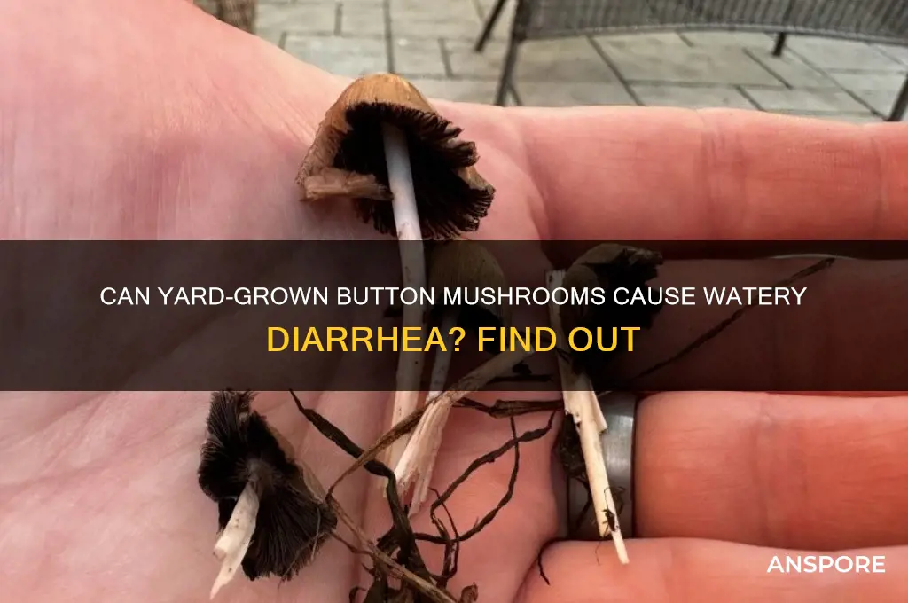 can button mushrooms from a yard caus watery diarrhea