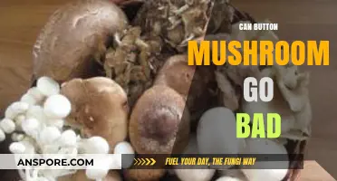Can Button Mushrooms Go Bad? Shelf Life and Storage Tips