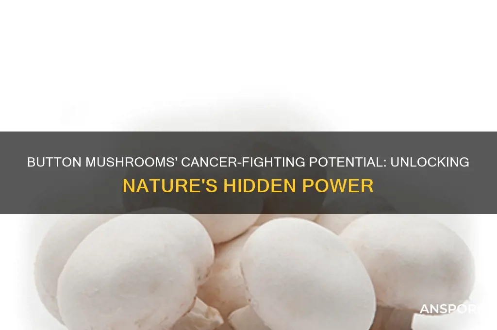 can button mushrooms prevent cancer