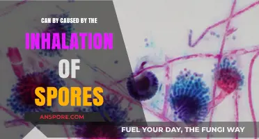 Inhaling Spores: Uncovering the Hidden Health Risks and Causes
