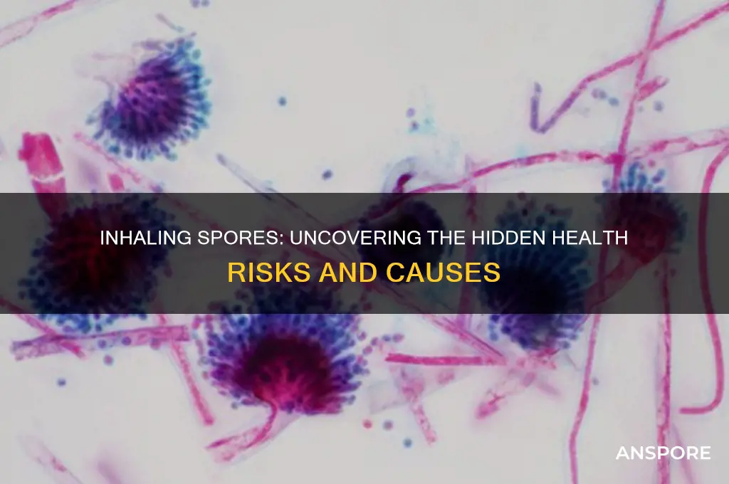 can by caused by the inhalation of spores