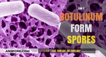 Can C. Botulinum Form Spores? Unraveling the Truth Behind Its Survival Mechanism