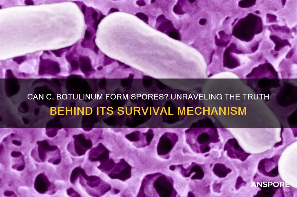 can c botulinum form spores