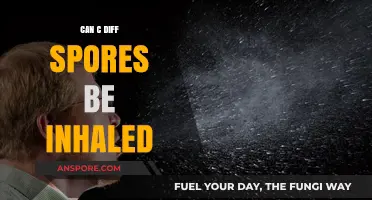 Can C. Diff Spores Be Inhaled? Understanding Airborne Transmission Risks