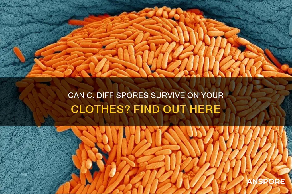 can c diff spores live on clothing