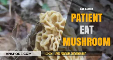 Mushrooms and Cancer: Safe or Risky for Patients to Eat?