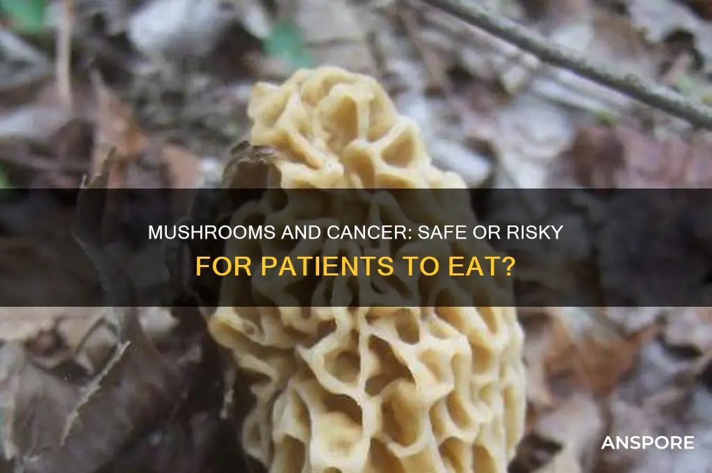 can cancer patient eat mushroom