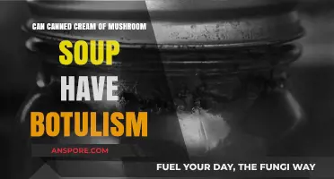 Can Canned Cream of Mushroom Soup Cause Botulism? Facts Revealed
