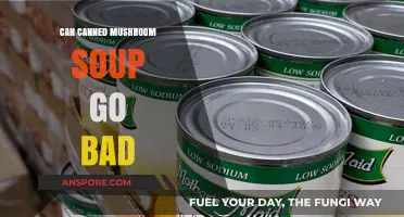 Does Canned Mushroom Soup Expire? Shelf Life and Safety Tips