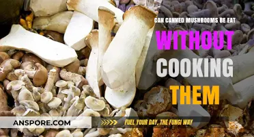 Are Canned Mushrooms Safe to Eat Raw? Quick Facts Revealed