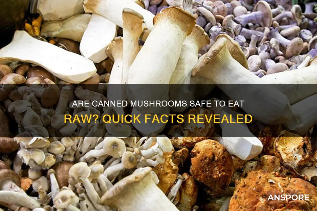 can canned mushrooms be eat without cooking them