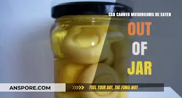 Can You Eat Canned Mushrooms Straight from the Jar? Find Out!