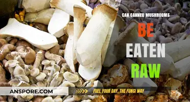 Can Canned Mushrooms Be Eaten Raw? Safety and Tips