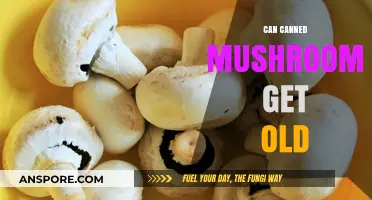 Do Canned Mushrooms Expire? Shelf Life and Storage Tips