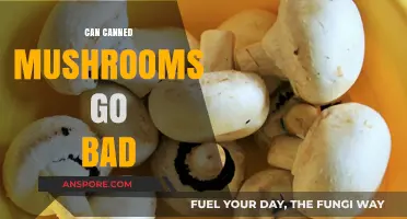 Do Canned Mushrooms Expire? Shelf Life and Safety Tips