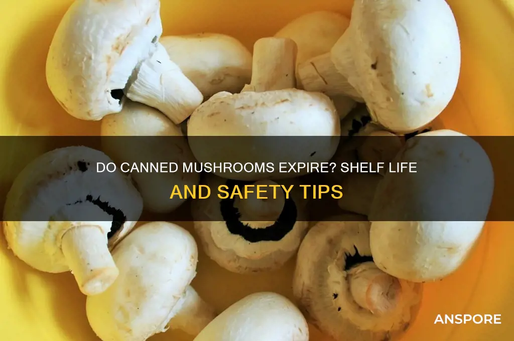 can canned mushrooms go bad