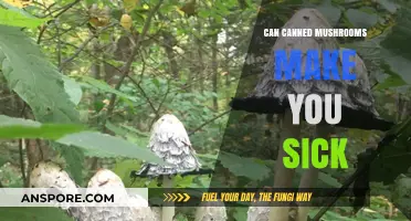 Can Canned Mushrooms Cause Illness? Risks and Safety Tips