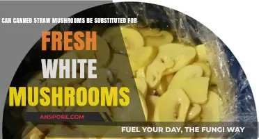 Canned Straw Mushrooms vs. Fresh White Mushrooms: A Substitute Guide