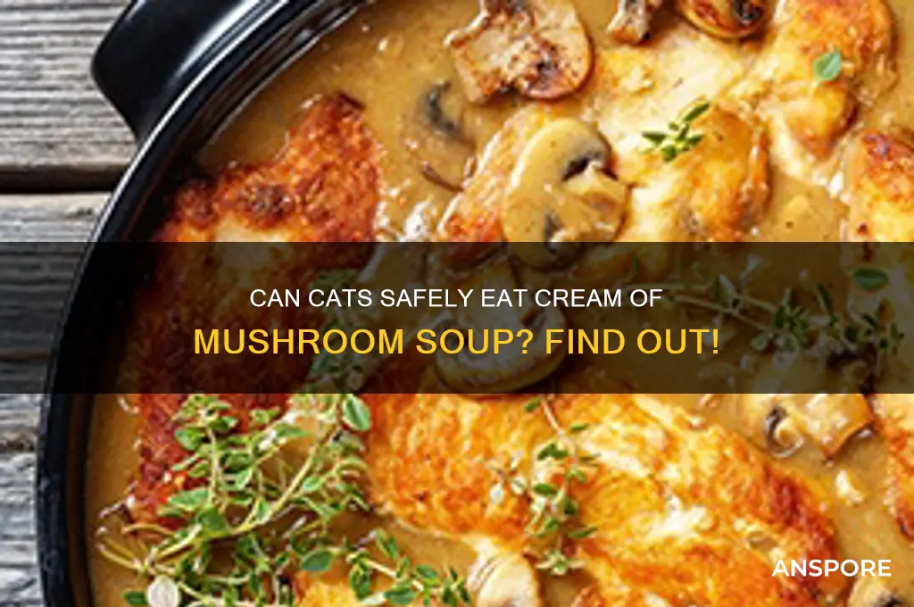 can cats eat cream of mushroom