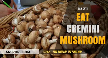 Can Cats Safely Eat Cremini Mushrooms? A Complete Guide
