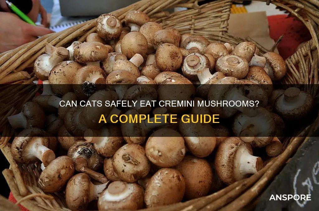 can cats eat cremini mushrooms