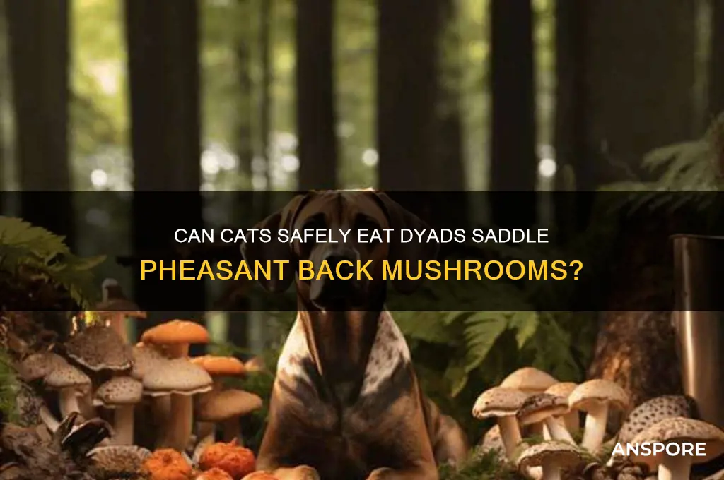 can cats eat dyads saddle pheasant back mushrooms