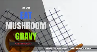 Can Cats Safely Enjoy Mushroom Gravy? A Pet Owner's Guide